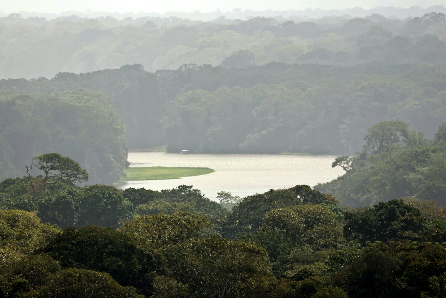A winding river flows through a dense rainforest and misty hills.